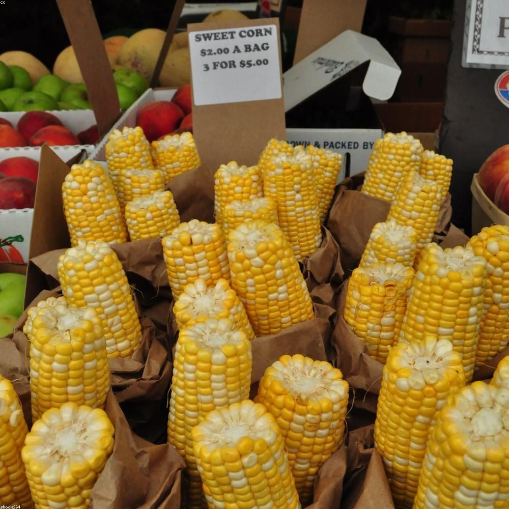 White maize